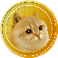 Catge coin logo CATGE
