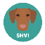 Hungarian Vizsla Inu logo HVI