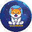 Nasa Doge logo NASADOGE