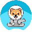 Shiba Interstellar logo SHINT