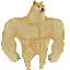 Swole Doge logo SWOLE