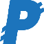 PayNet Coin logo PAYN