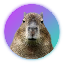 Capybara logo CAPY