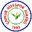 Rizespor Token logo RIZE
