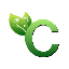 Carbon Coin logo C