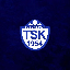 Tuzlaspor Token logo TUZLA