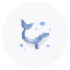 Moby Dick V2 logo MOBY