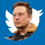 ELON BUYS TWITTER logo EBT