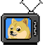 Doge-TV logo $DGTV