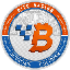 Bitci Racing Token logo BRACE