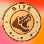 BITE logo BITE