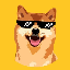 Floki Cash logo FLOKICASH