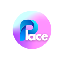 Place Network logo PLACE3