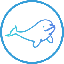Beluga Protocol logo BELA