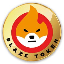 BLAZE TOKEN logo BLZE