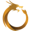 Dragon Coins logo DRG