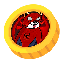 Spider Coin logo SPIDERCOIN