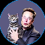 Elon Cat logo ECAT