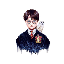 Harry logo POTTER