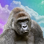 Harambe on Solana logo HARAMBE