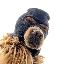 Ski Mask Dog logo SKI