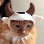 bullish logo BULLISH
