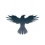 Raven Protocol logo RAVEN
