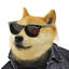 DOGEFI logo DOGEF