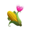 CORN logo CORN