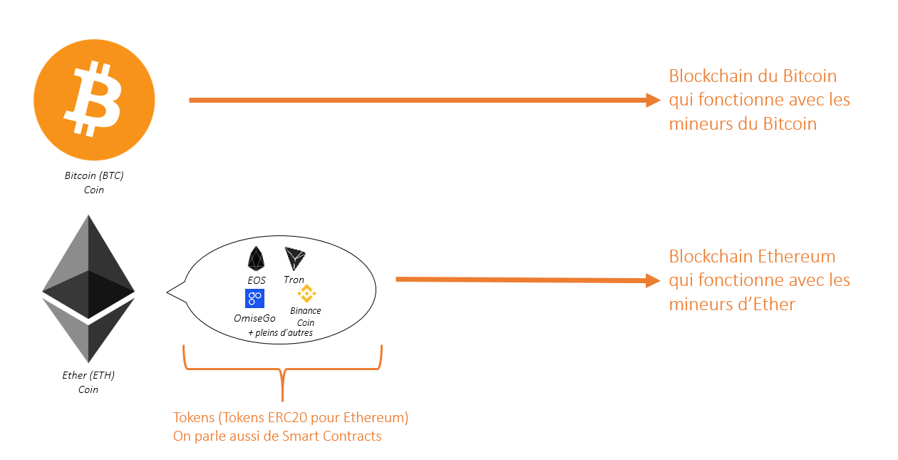 écosystèmes de comparaison bitcoin et ethereum