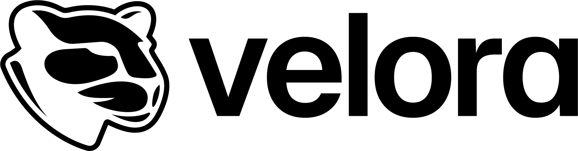 Velora Logo Velora Logo