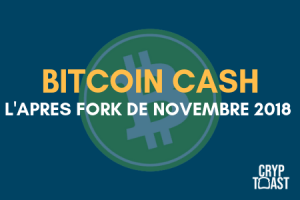 Une mauvaise passe pour Bitcoin Cash