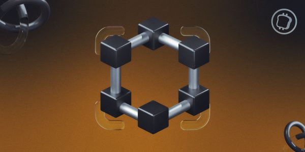 Qu'est-ce qu'un nœud dans l'univers de la blockchain ?