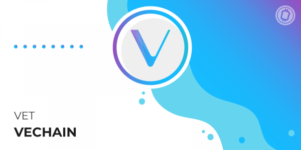 Vechain Vet