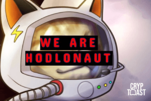 Résumé de l'affaire Hodlonaut vs Craig Wright