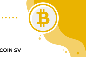 Qu’est-ce que le Bitcoin SV ? (BSV)