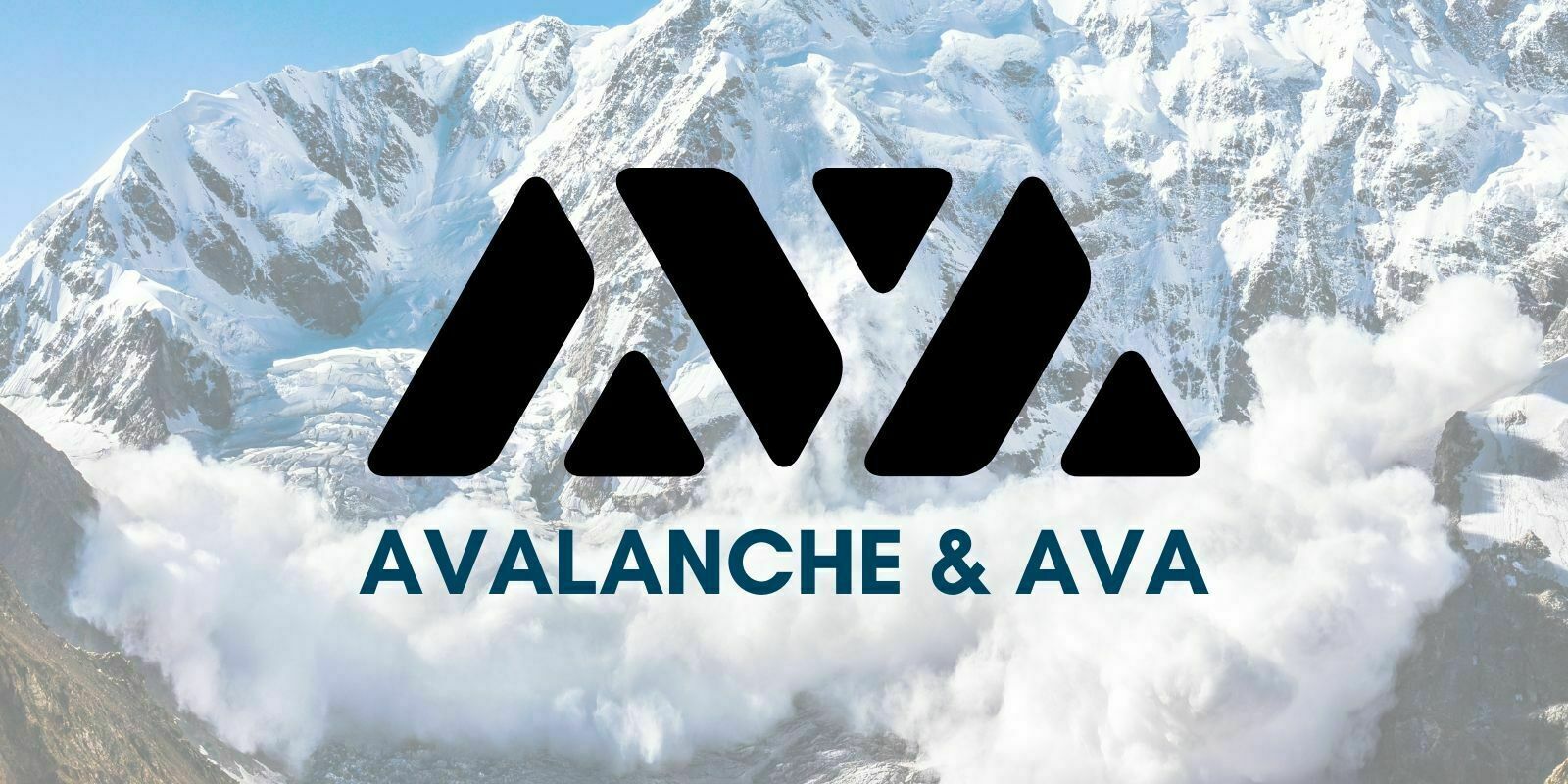 Découverte d'Avalanche et de la plateforme AVA