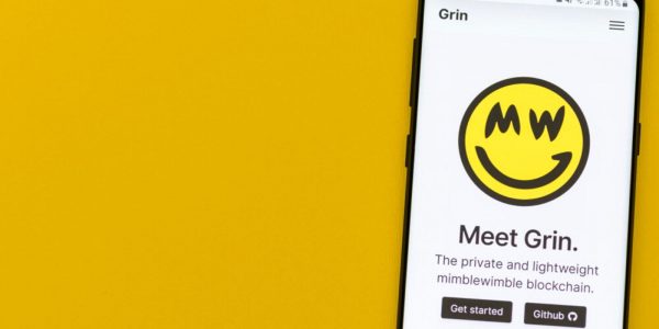 Un chercheur parvient à exposer 96 % des adresses utilisées avec Mimblewimble