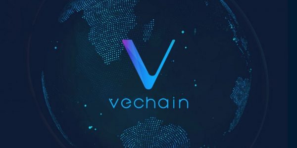 VeChain lance FoodGates, une solution blockchain de logistique intercontinentale