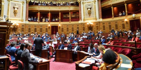 Sénat : un amendement au budget considère les cryptos comme une “fortune immobile”