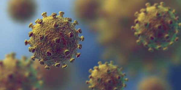 Coronavirus (Covid-19) : la communauté crypto se mobilise
