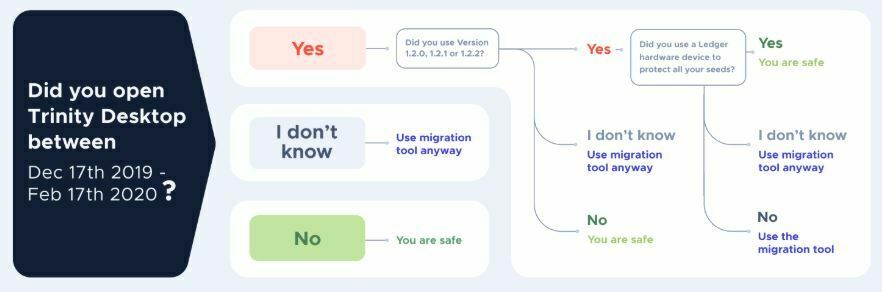 Infographie Migration Trinity