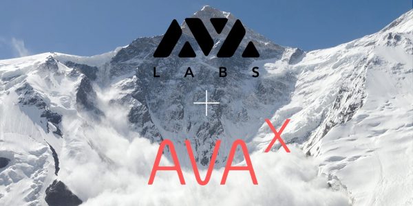 AVA Labs lance AVA-X, le programme de développement de son écosystème