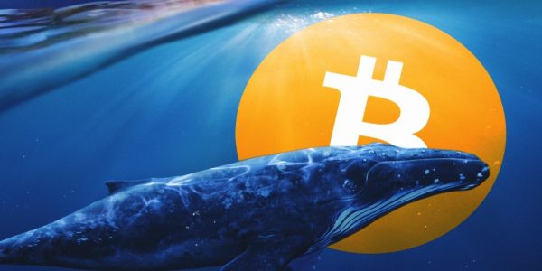 Une baleine Bitcoin transfère 245 175 BTC en 1 heure
