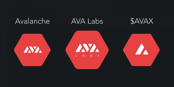 Le projet blockchain Avalanche (AVAX) lève 12 millions de dollars