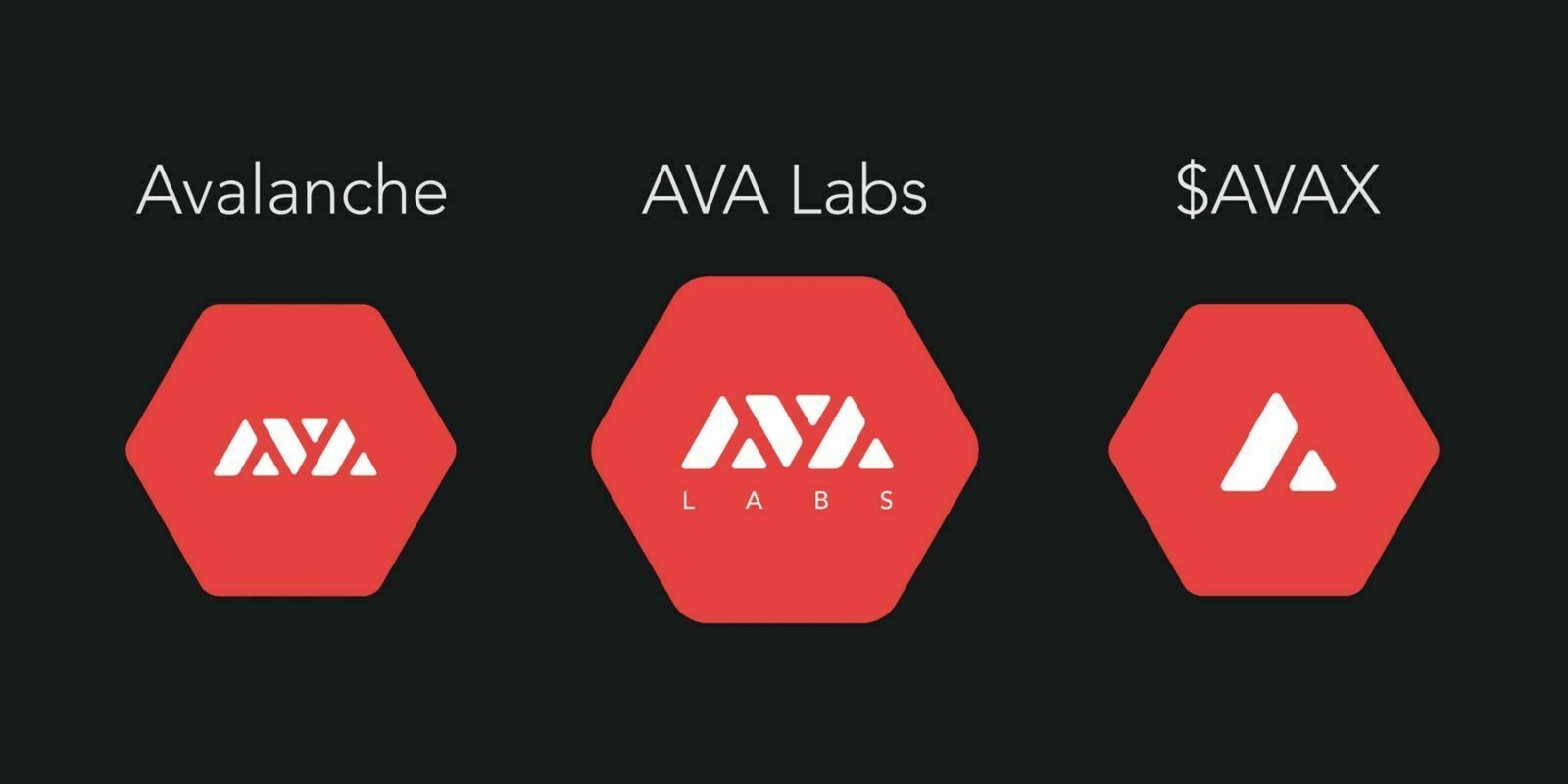 Le projet blockchain Avalanche (AVAX) lève 12 millions de dollars
