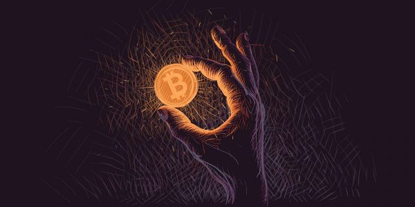 88% des adresses Bitcoin (BTC) sont actuellement profitables