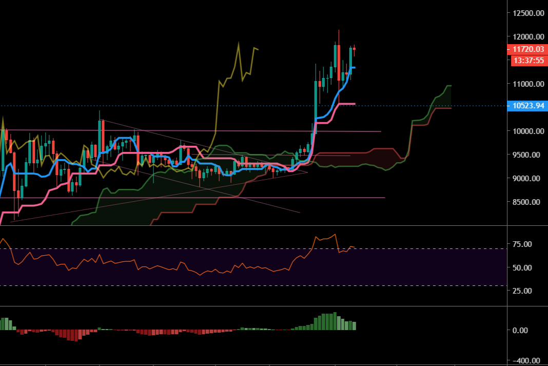 Le Bitcoin en Daily