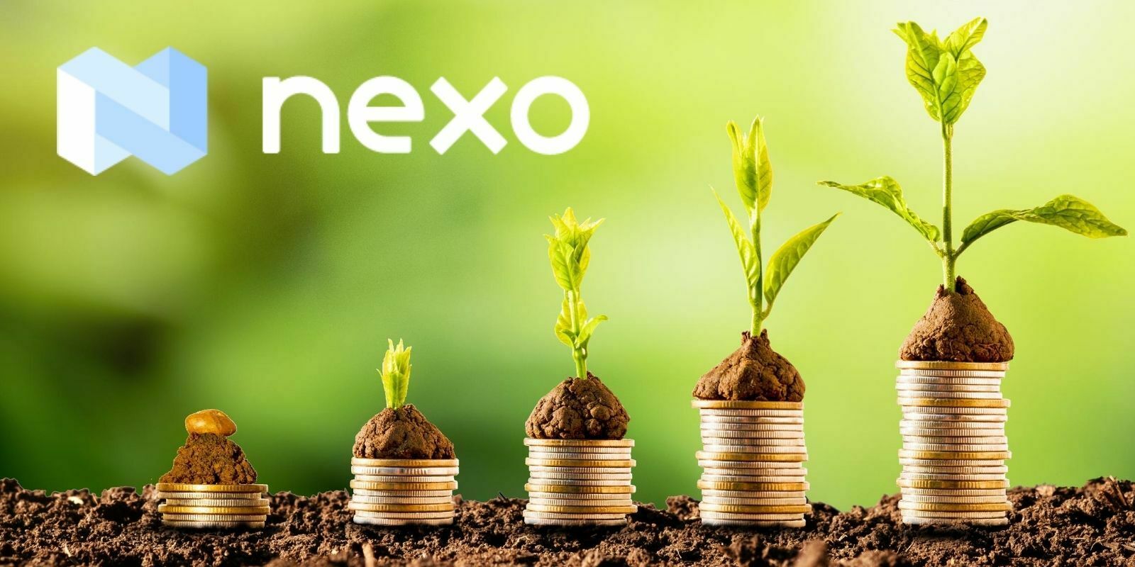 Le service de prêt Nexo va distribuer $6,1M de dividendes