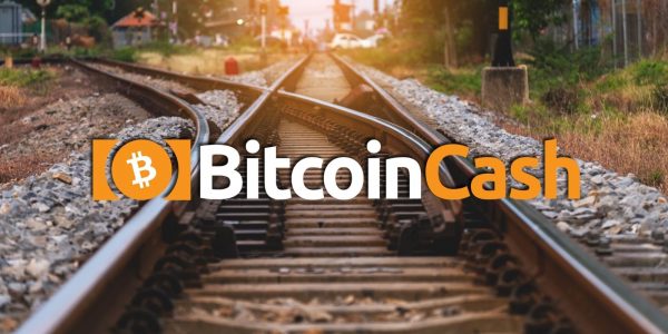 Bitcoin Cash : vers une nouvelle scission en novembre ?
